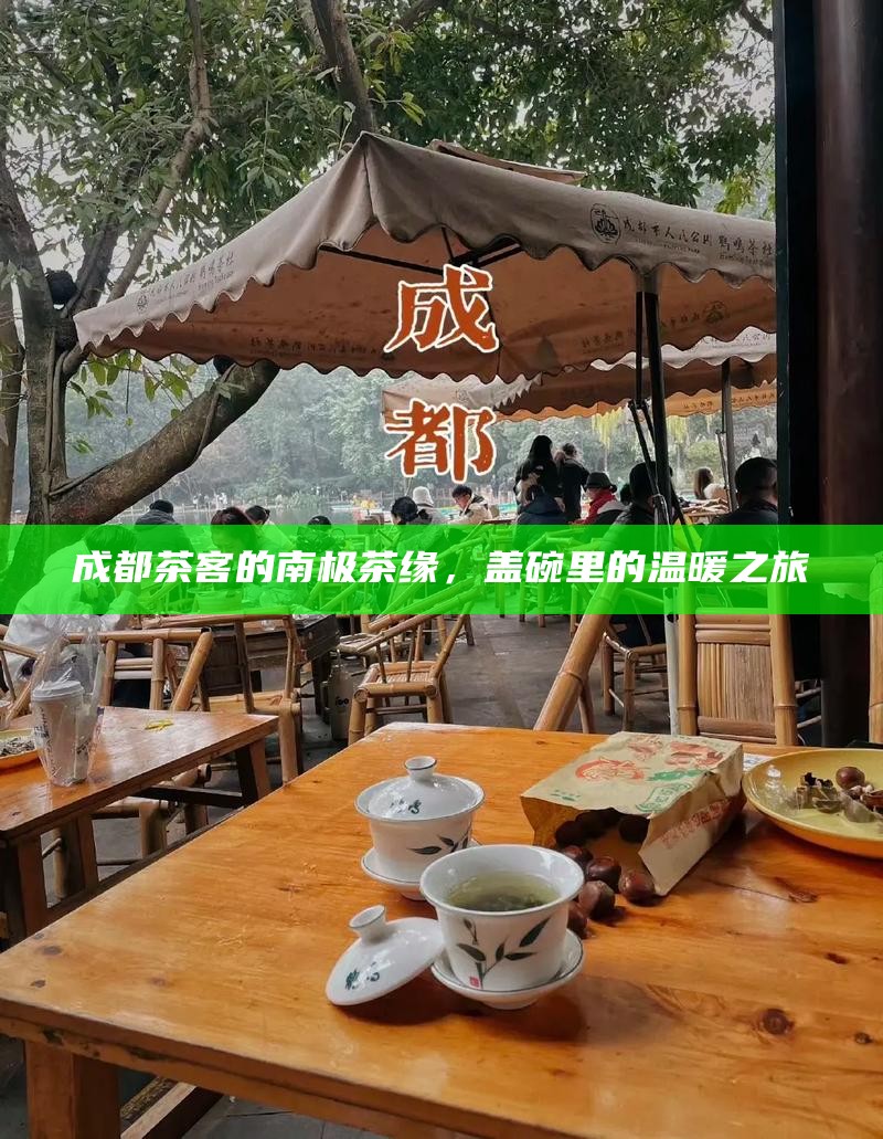 成都茶客的南极茶缘，盖碗里的温暖之旅
