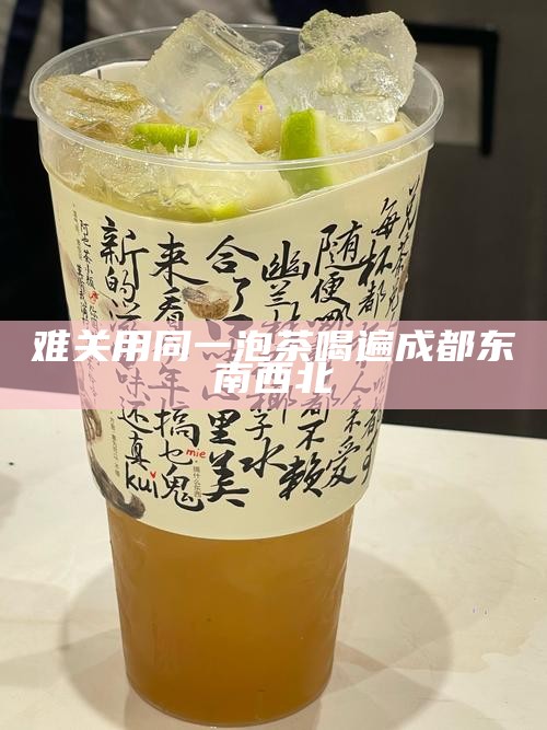 难关用同一泡茶喝遍成都东南西北